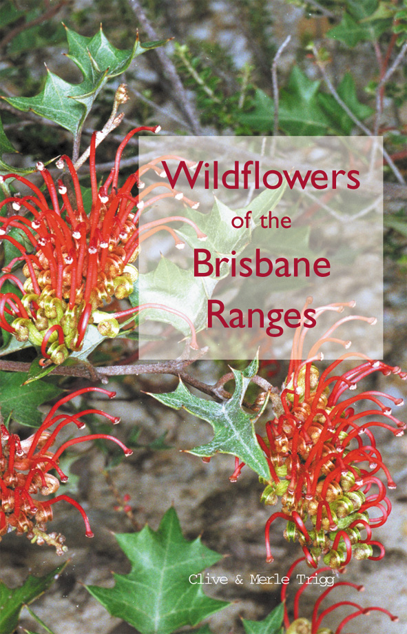 The cover image of Wildflowers of the Brisbane Ranges, featuring red and yellow wildflowers with green leaves and brown earthen background.