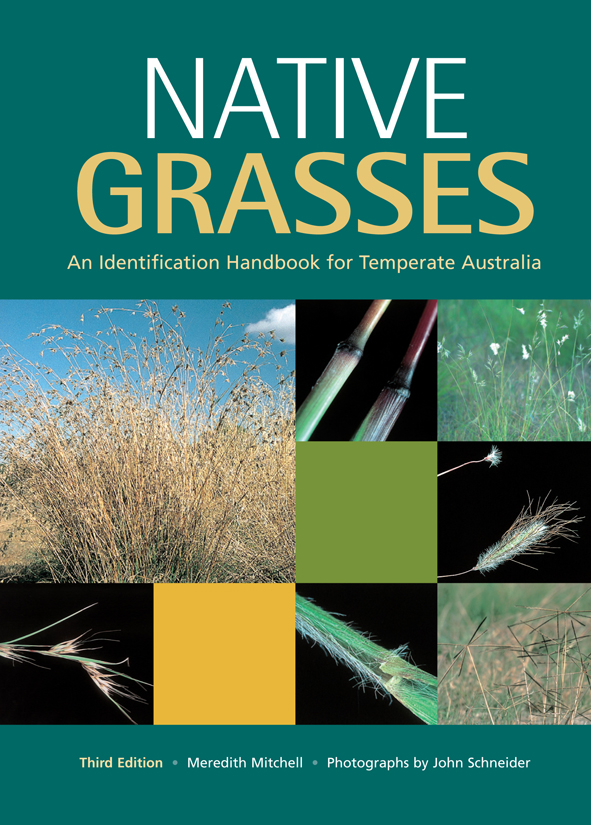 The cover image of Native Grasses, featuring square images of grasses, close ups of grasses against plain black, and plain yellow and green coloured s