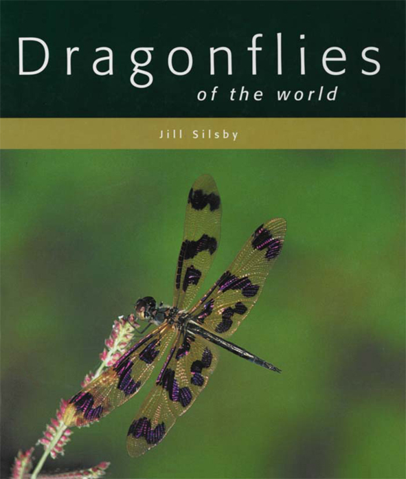 The cover image featuring a black and clear winged dragonfly with its wings sprad against an out of focus bright green background.