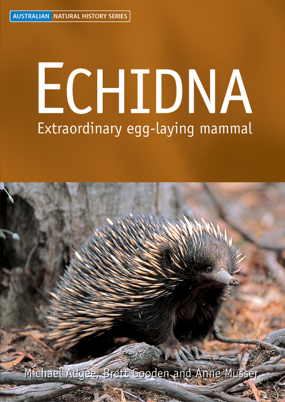The cover image of Echidna, featuring an echidna standing in brown bracken.