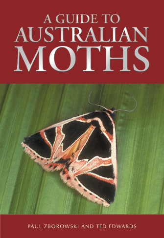 The cover image of A Guide to Australian Moths, featuring a brown and black moth on a green leaf background.