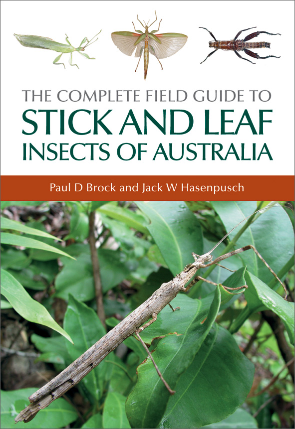 The cover image featuring a large stick insect on a large green leaves, with three drawings of stick insects along the top edge.