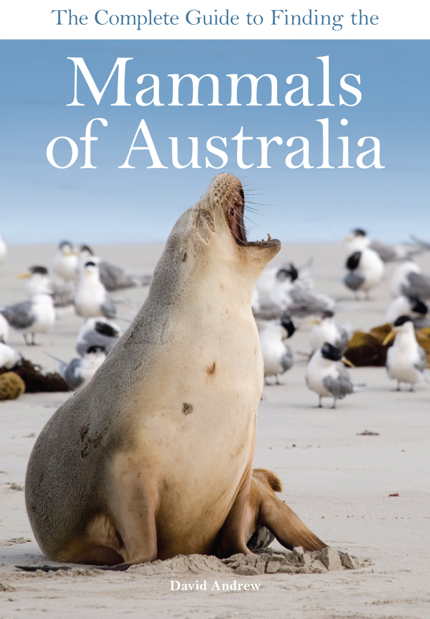 The foreground of the cover features a sea lion sitting on a beach. Behind the sea lion is a flock of birds standing on the sand.