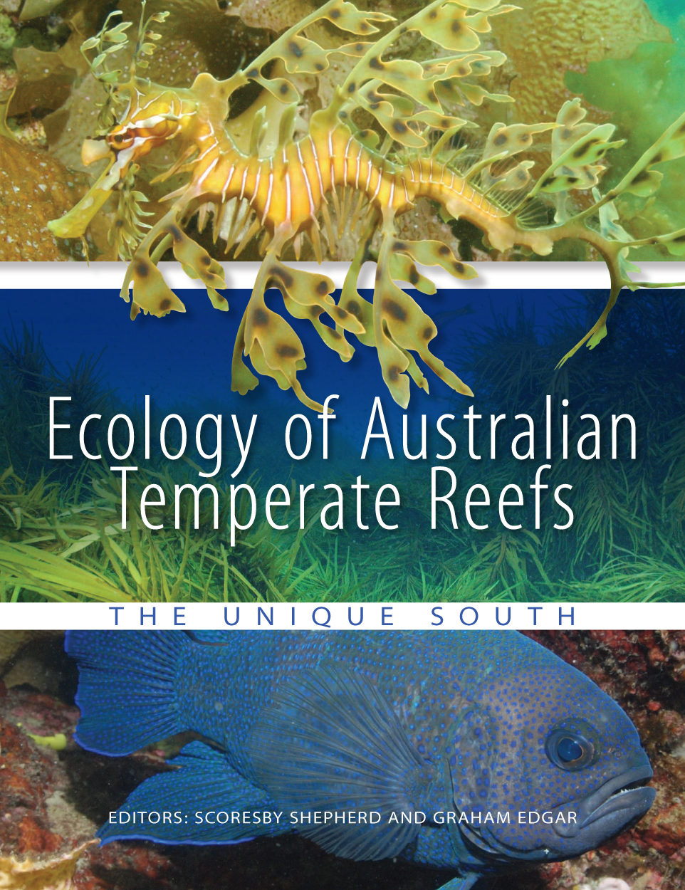 The cover image featuring three pictures the top of a yellow seahorse, the middle of a sea bed scape, anf the bottom of a large blue fish.