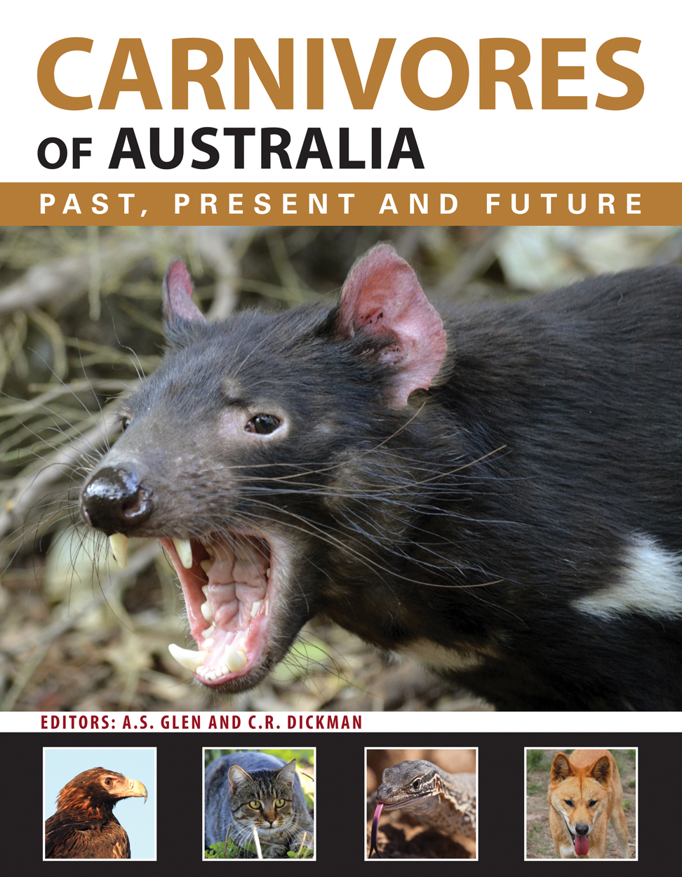 cover of Carnivores of Australia