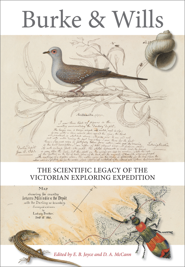 The cover image of Burke and Wills, featuring illustrations of a bird, lizard and bettle against a backdrop of hand written notes and maps.