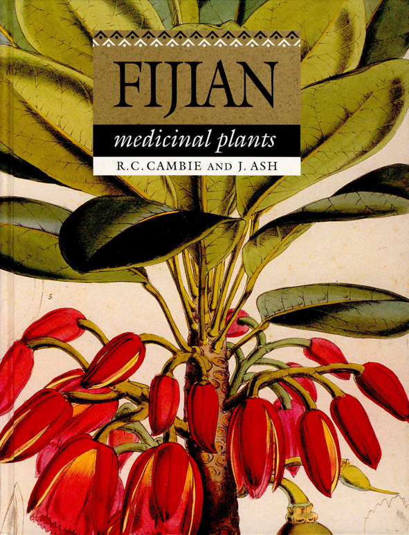 The cover image of Fijian Medicinal Plants, featuring bright red berries, on a large green leaved bush, with a plain cream background.