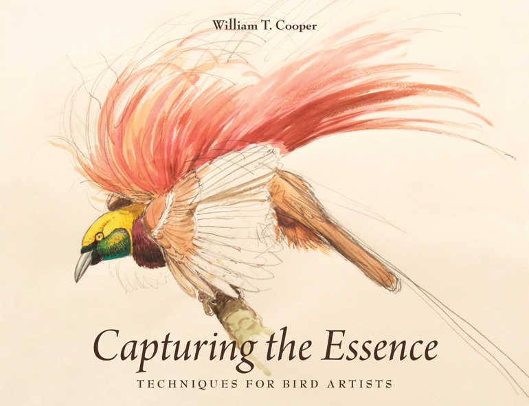 Cover image featuring a water colour illustration of a bird with a bright yellow and green head, brown and pale red wings perched on a branch.