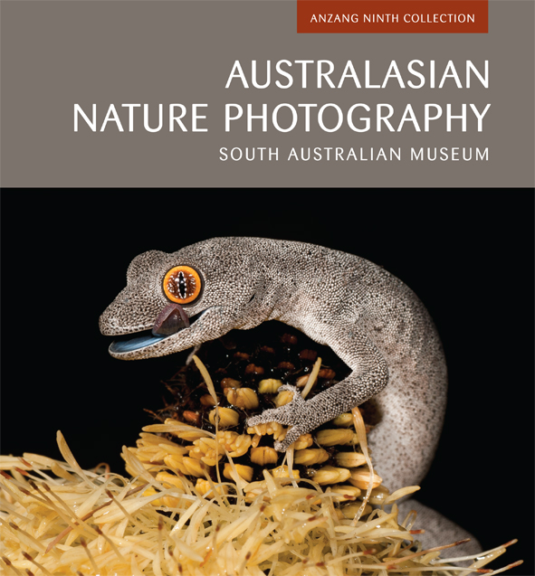 The cover image of Australasian Nature Photography, featuring a grey lizard with large orange and black eyes crouched over a wheat coloured pine cone,