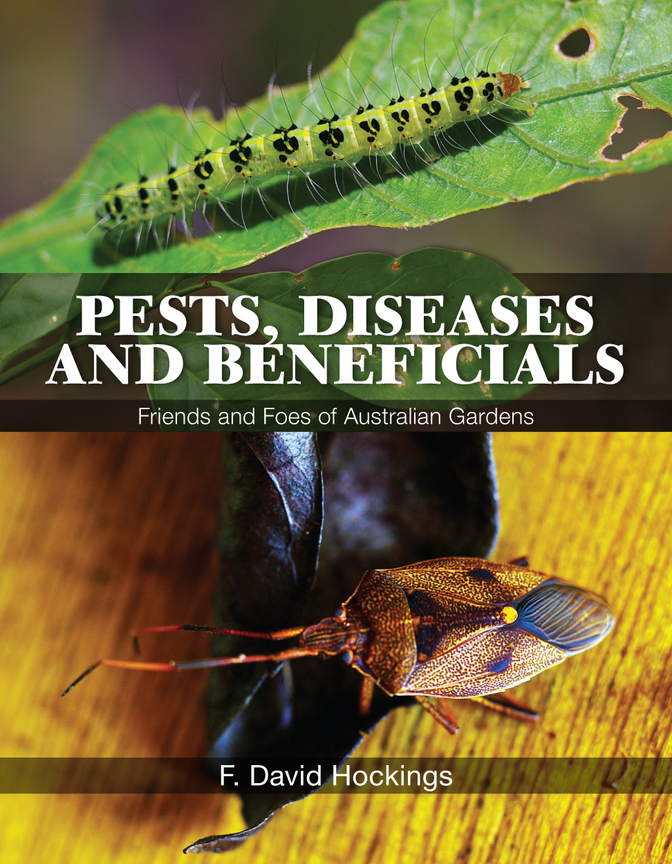 The cover image featuring two photographs, the top photgraph of a green caterpillar on a green leaf, the bottom photograph of a brown bettle on a yell