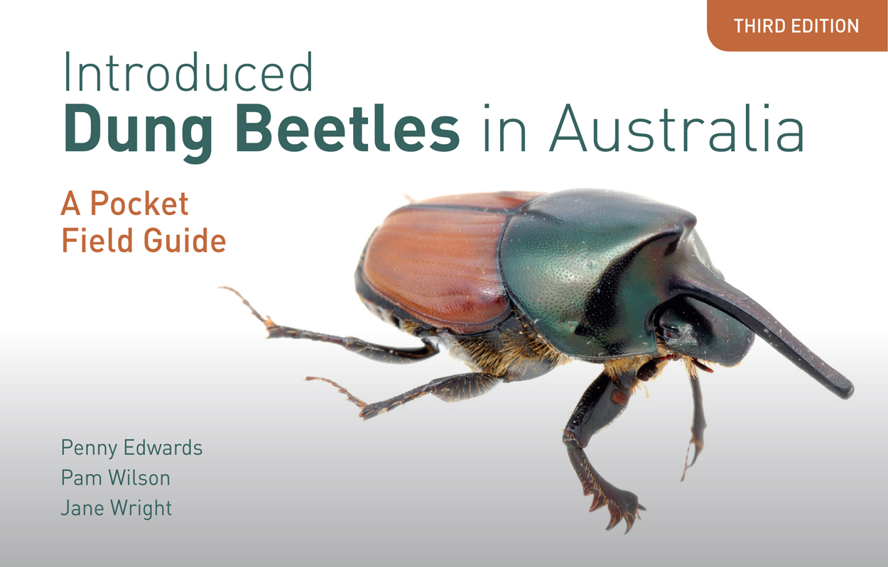 Cover image of Introduced Dung Beetles in Australia, featuring a side-view photo of Onthophagus nigriventris