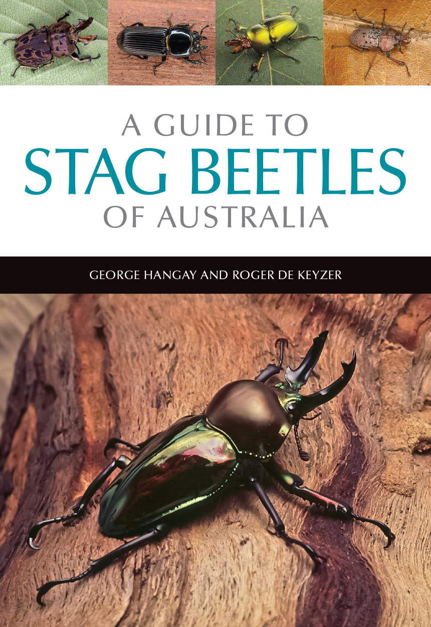 Cover of 'A Guide to Stag Beetles of Australia' featuring a photo of a beautiful metallic stag beetle on a log, with four small photos of other stag b