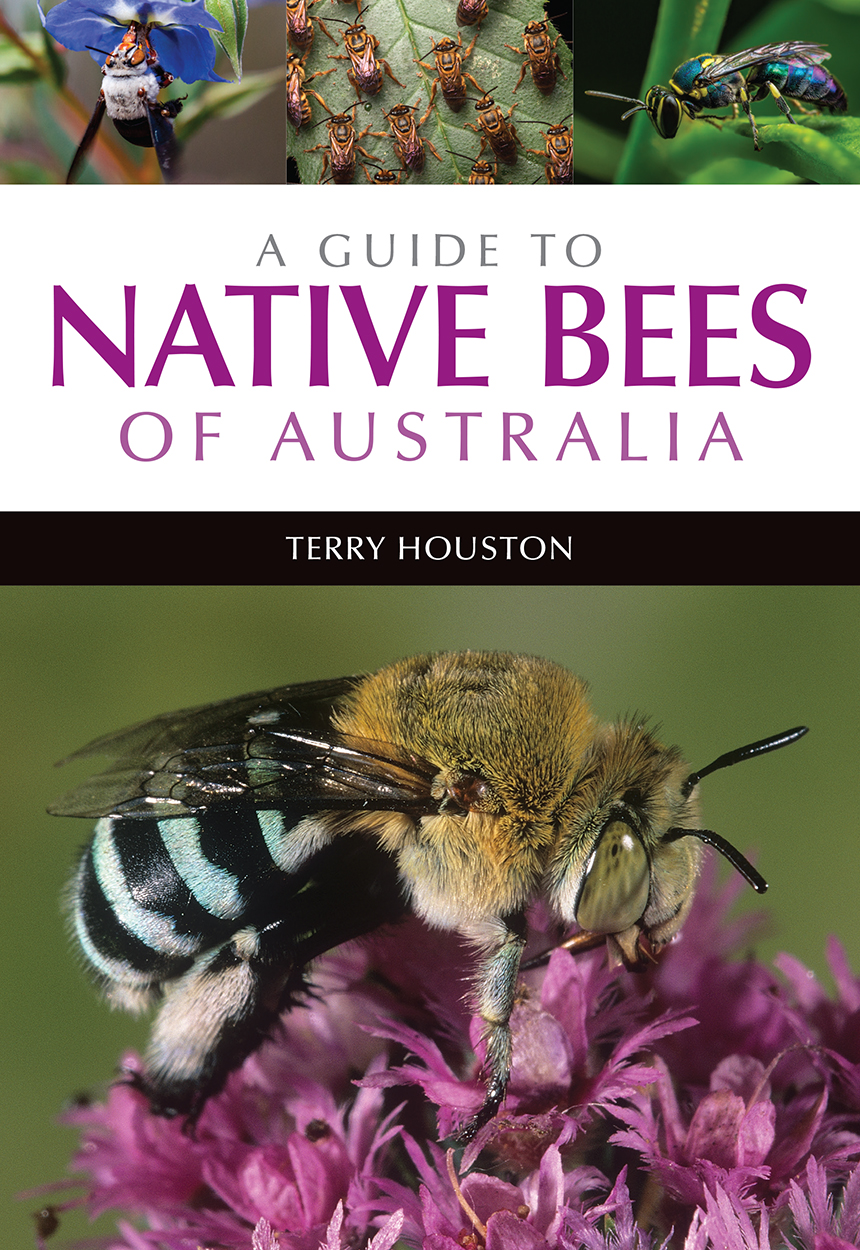 Cover of 'A Guide to Native Bees of Australia' featuring a photo of a blue-banded bee on a purple flower, with three smaller photos of bees above the