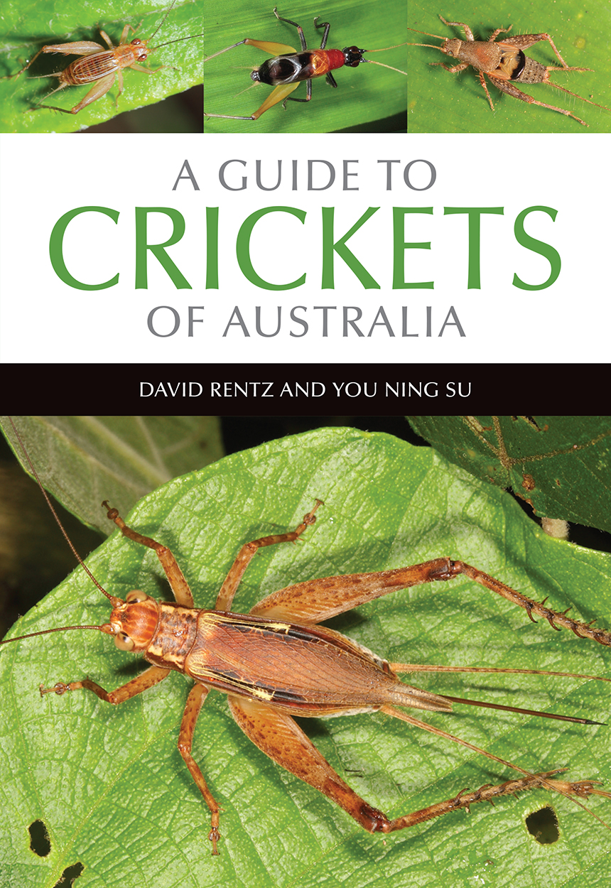 A Guide to Crickets of Australia, David Rentz, You Ning Su, 9781486305063