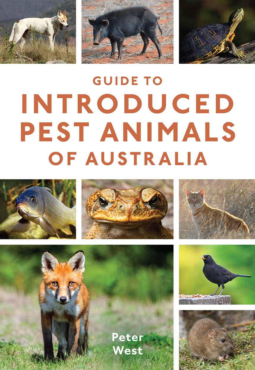 Guide to Introduced Pest Animals of Australia, Peter West, 9781486305674