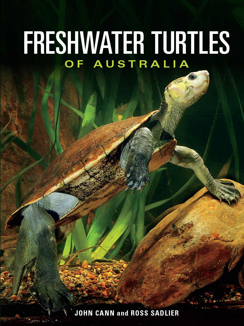 Cover image featuring green and brown turtle in diagonal position.