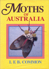 The cover image featuring a grey and blue moth, with two large yellow orbs
