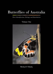 The cover image featuring a side view of a red, black and yellow butterfly, against an out of focus grey background, set into a plain black setting.