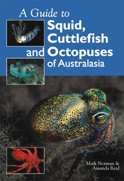 The cover image featuring a brightly coloured metalic toned octopus, against a grey ocean bead, with smaller images of cuttlefish and squid, with a pl