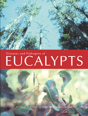 The cover image featuring a top image of a skyward view of tall gum trees, the bottom of a close up of eucalypt leaves with a disease.