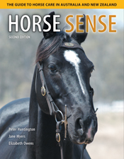 The cover image of Horse Sense, featuring the head and top half of the bod