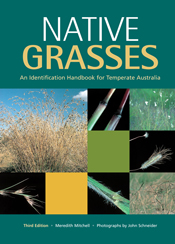 The cover image of Native Grasses, featuring square images of grasses, clo