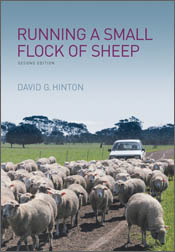 The cover image featuring a flock of white sheep being herded down a dirt