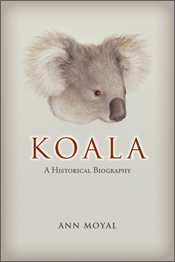 The cover image of Koala, featuring a side view of a koala head, with a pale grey background.