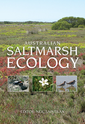 Cover image featuring a view of a salt marsh with bushes of different colours of green, red and yellow.