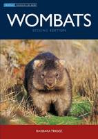 The cover image of Wombats, featuring a frontal view of a wombat standing on short green grass surrounded by long brown grass.