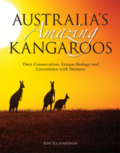 The cover image of Australia's Amazing Kangaroos, featuring three kangaroo silhouettes with shadded grass in the foreground and a bright yellow sky an