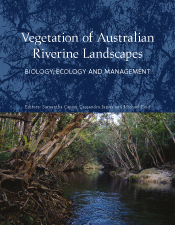 Cover image featuring Kanuka Box trees overarching Behana Creek in the Wet