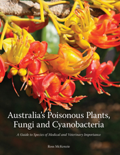 The cover image featuring brightly coloured yellow and red flowers against