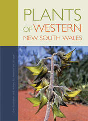 The cover image featuring a close up image of a native plant with bright yellow folliage against a red dirt and blue sky background.