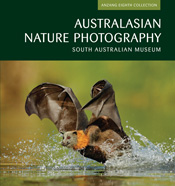 The cover image of Australasian Nature Photography, features a bat splashing along a water surface with an out of focus green background.