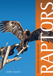 Cover is a large eagle with its wings spread against a plain blue background with an orange strip down the side.