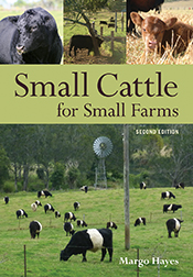 Cover image of Small Cattle for Small Farms Second Edition featuring a panel of three images of a bull, group of cows and a calf, above the title and