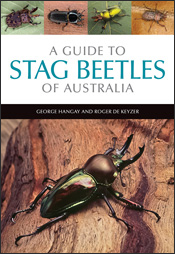 Cover of 'A Guide to Stag Beetles of Australia' featuring a photo of a bea