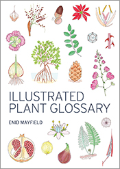 Cover of Illustrated Plant Glossary, featuring a variety of colourful plan
