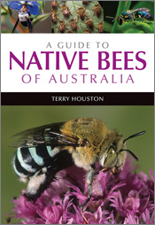 Cover of 'A Guide to Native Bees of Australia' featuring a photo of a blue-banded bee on a purple flower, with three smaller photos of bees above the