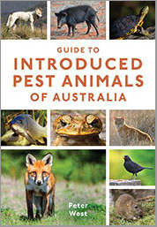 Cover featuring photos of a wild dog, feral pig, turtle, carp, cane toad, feral cat, blackbird, mouse and fox