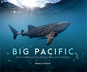 Cover of 'Big Pacific' featuring an underwater image of whale shark swimmi