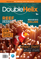 Cover of magazine with clown fish swimming in anemone.