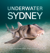 Cover of Underwater Sydney, featuring a Port Jackson shark resting on the sand, with turquoise sea above