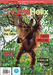 Cover of Double Helix magazine Issue 49, featuring a photo of a juvenile orangutan with the head of an antlered moose head, swinging from a tree branc