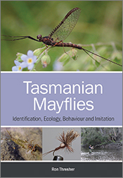 Cover of 'Tasmanian Mayflies' featuring a black spinner mayfly resting on some greenery.