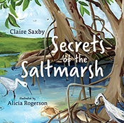 Cover of 'Secrets of the Saltmarsh', featuring an illustration of a saltma