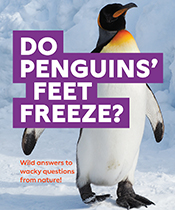 Cover of 'Do Penguins' Feet Freeze?' featuring an emperor penguin walking