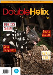 Cover of 'Double Helix' magazine issue 63, featuring a photography of a sp