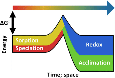 Parameters of biodegradation, studied and depicted within an idealised graph reflecting energy change with time and space.